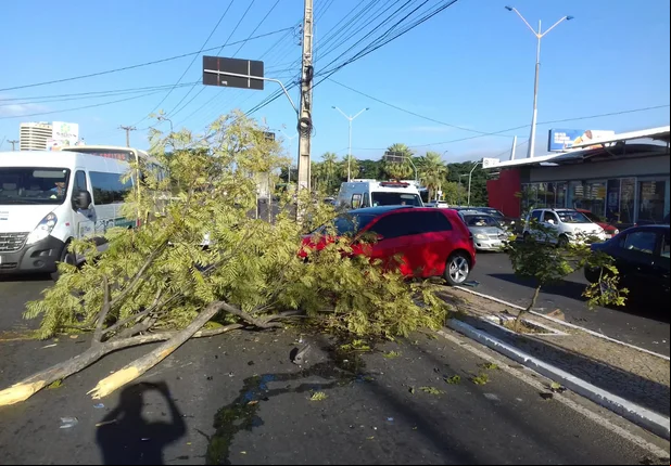 Colisão entre veículos na Avenida João XXIII