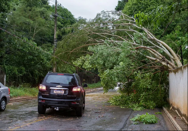 Chuva rápida causa vários estragos em Teresina